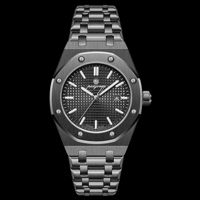 AP Luxury Stainless Steel Watch